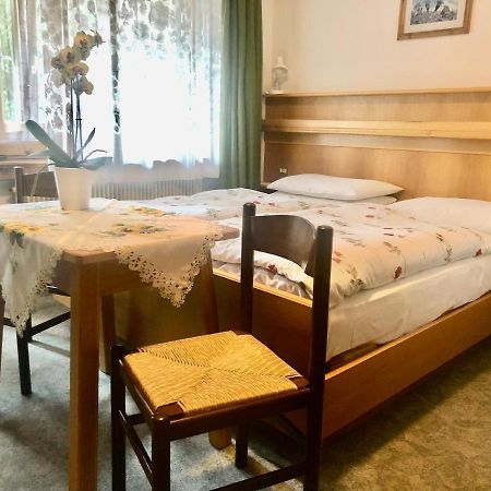 Apartments Fiordalisi 科尔福索 外观 照片